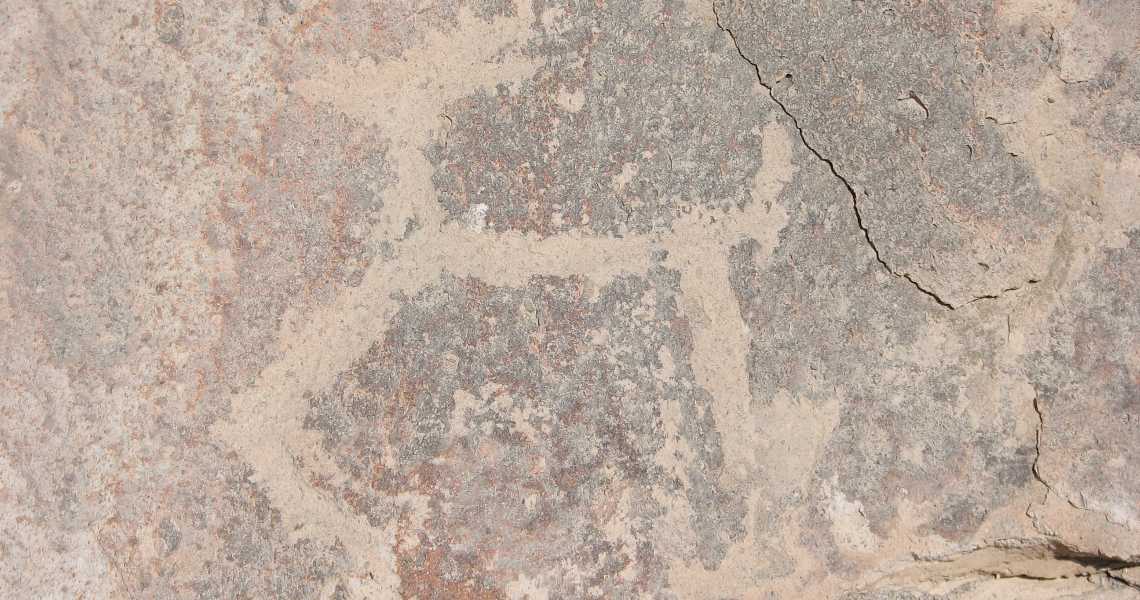 Toro_Muerto_Archaeological_site_petroglyph_(llama) A petroglyph from Toro Muerto site in Pampa de Majes