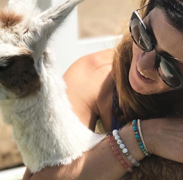 alpaca