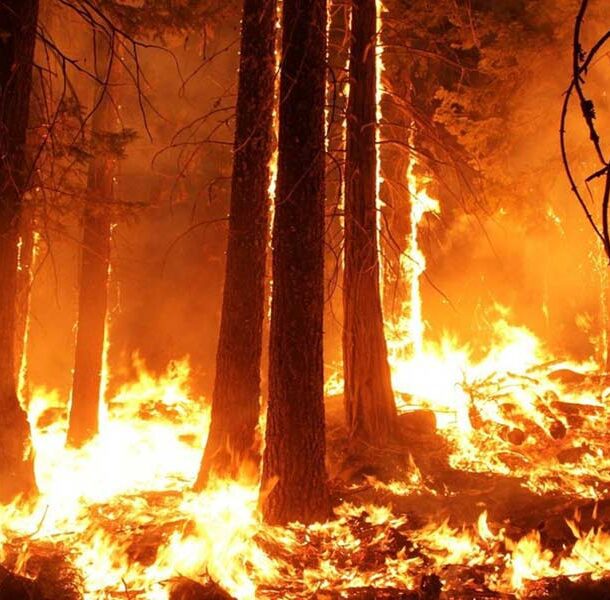 amazon fire