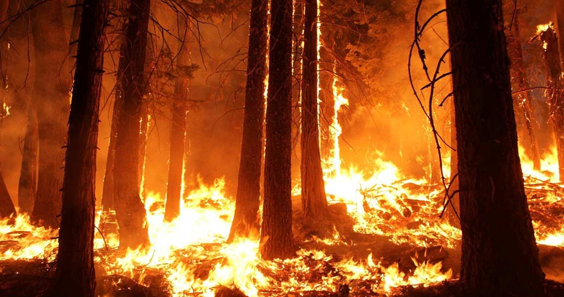 amazon-fire amazon fire