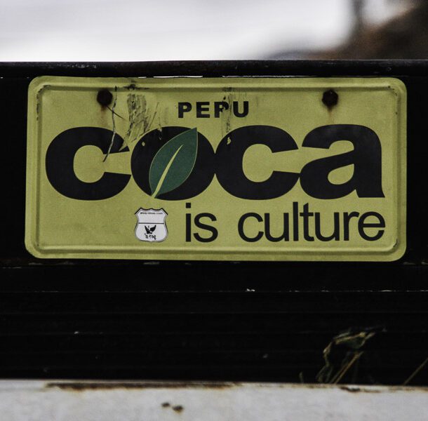 coca leaf