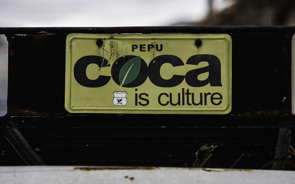 coca leaf