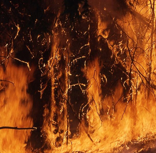 fire