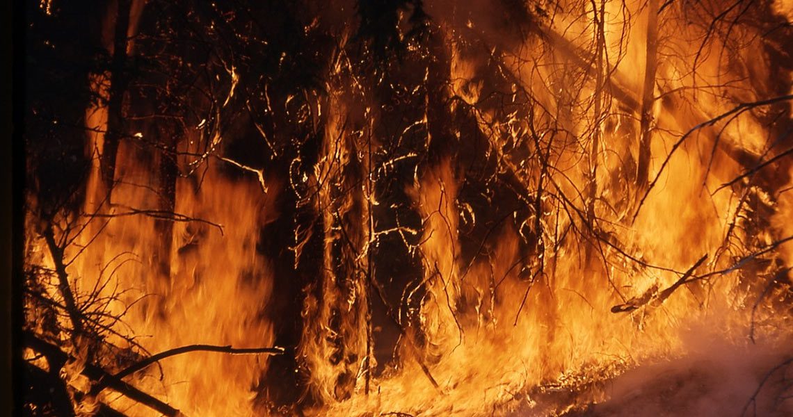 fire fire