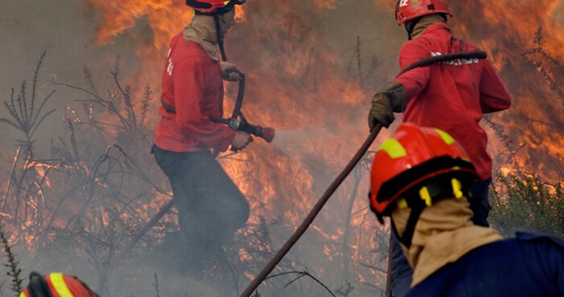 firefighters Firefighters