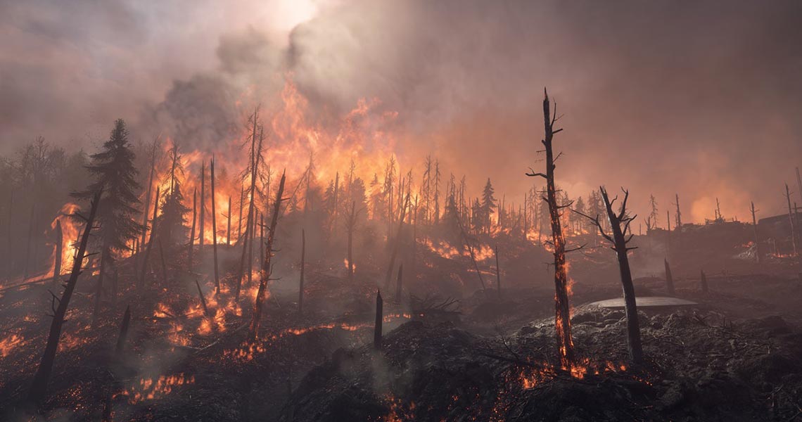 forest-fire forest fire