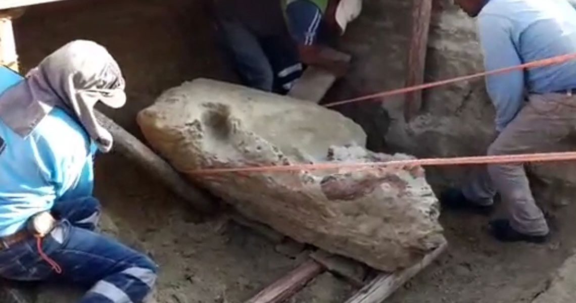 fossil fossil