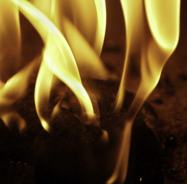 jungle fire