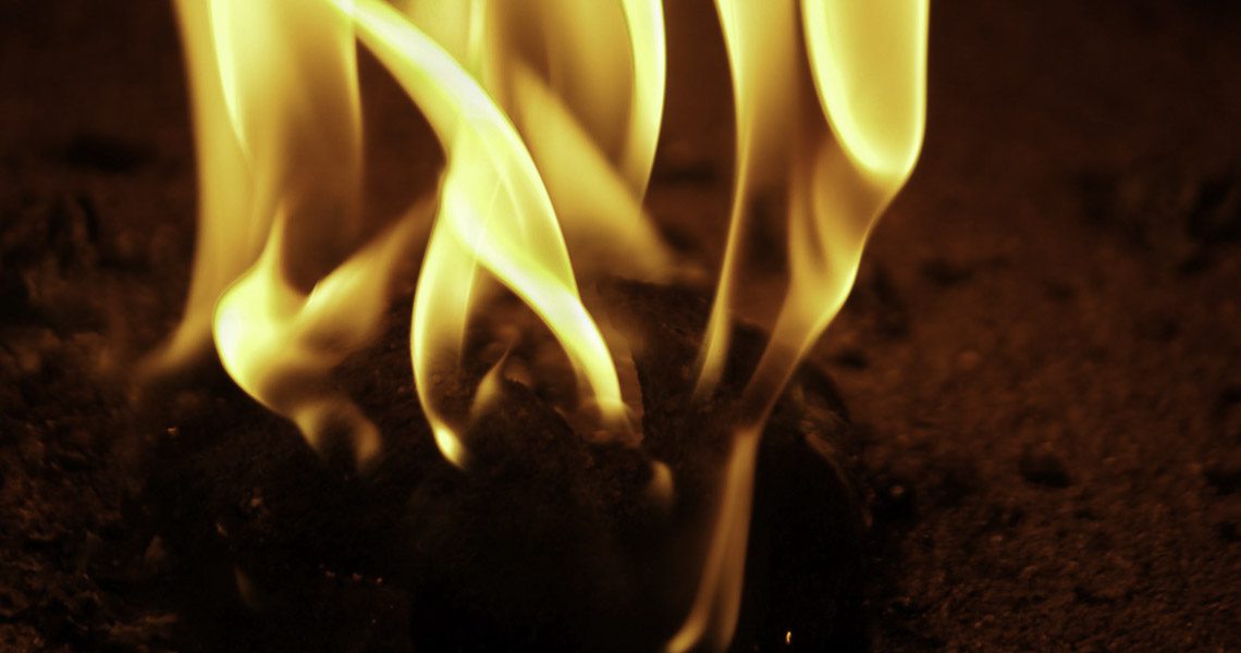 jungle fire