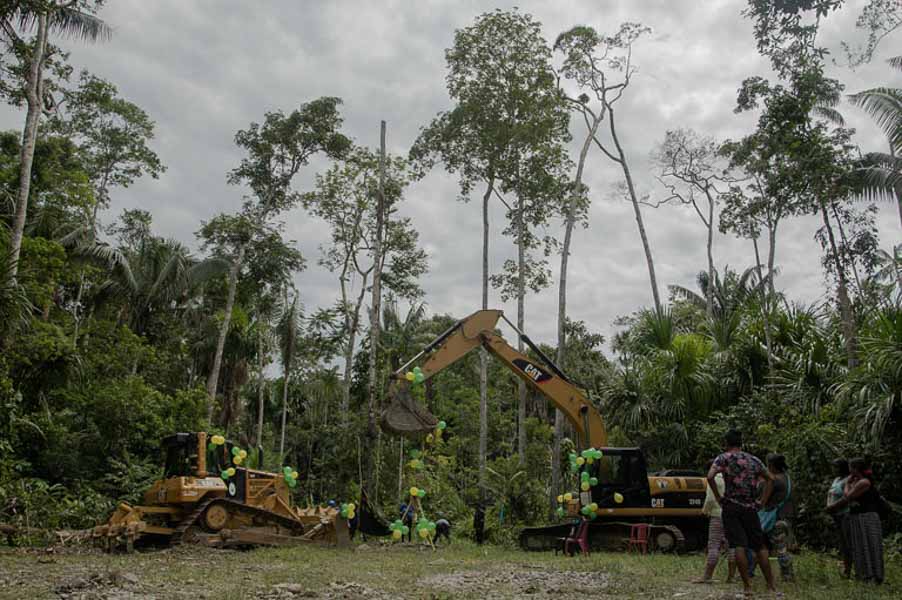 manu park logging