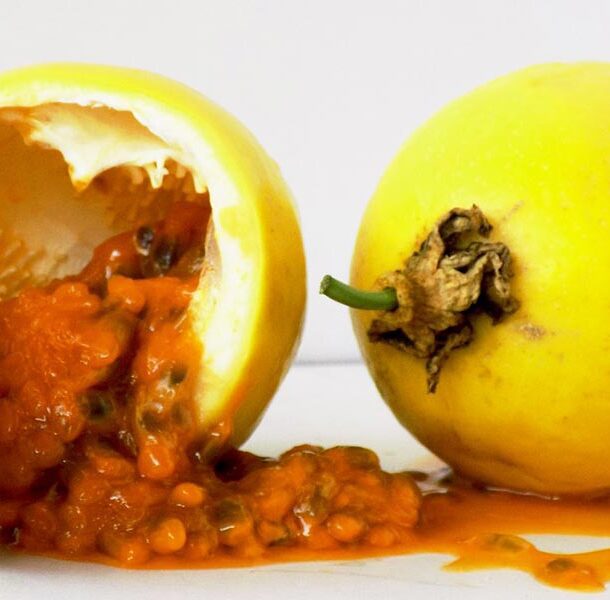 passion fruit