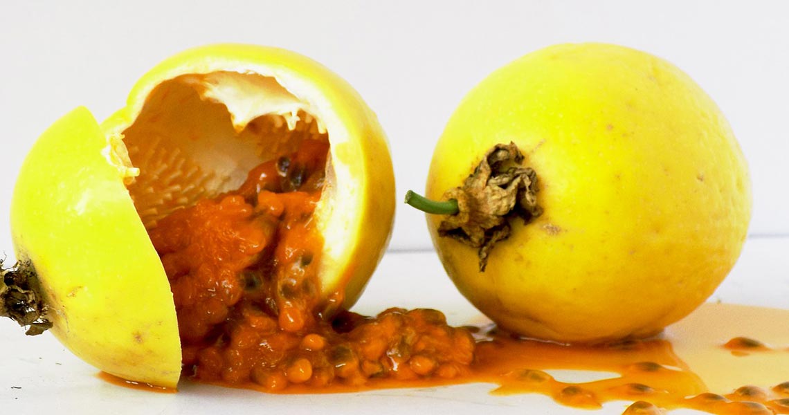 El azucar de la fruta es malo El azucar de la fruta es malo