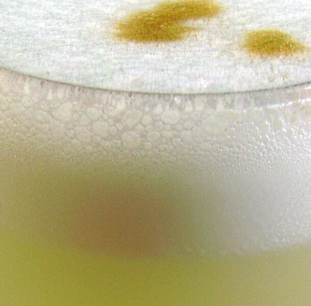 pisco sour