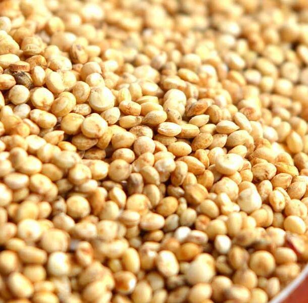 quinoa