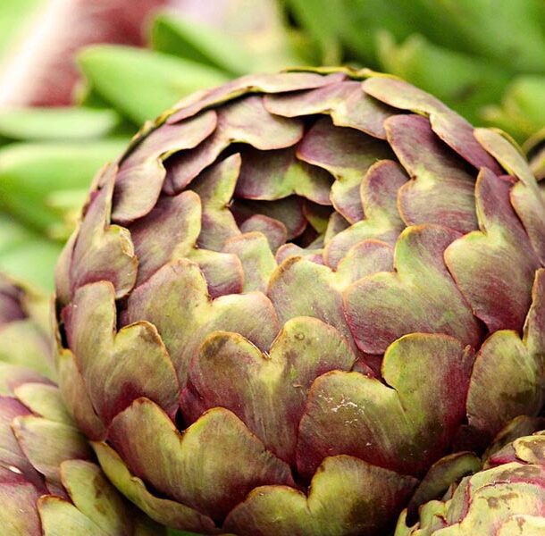 artichoke