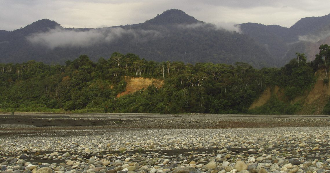 manu national park