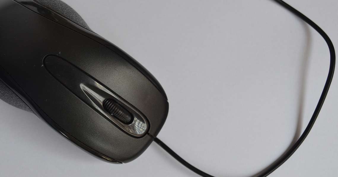 mouse