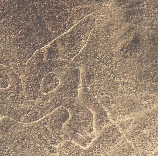 nazca lines