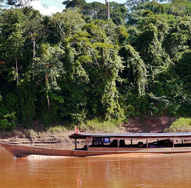 tambopata