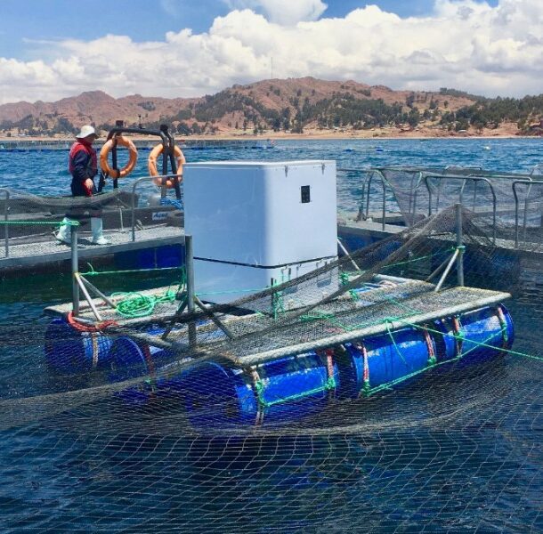 lake titicaca artificial intelligence feeders umnitron