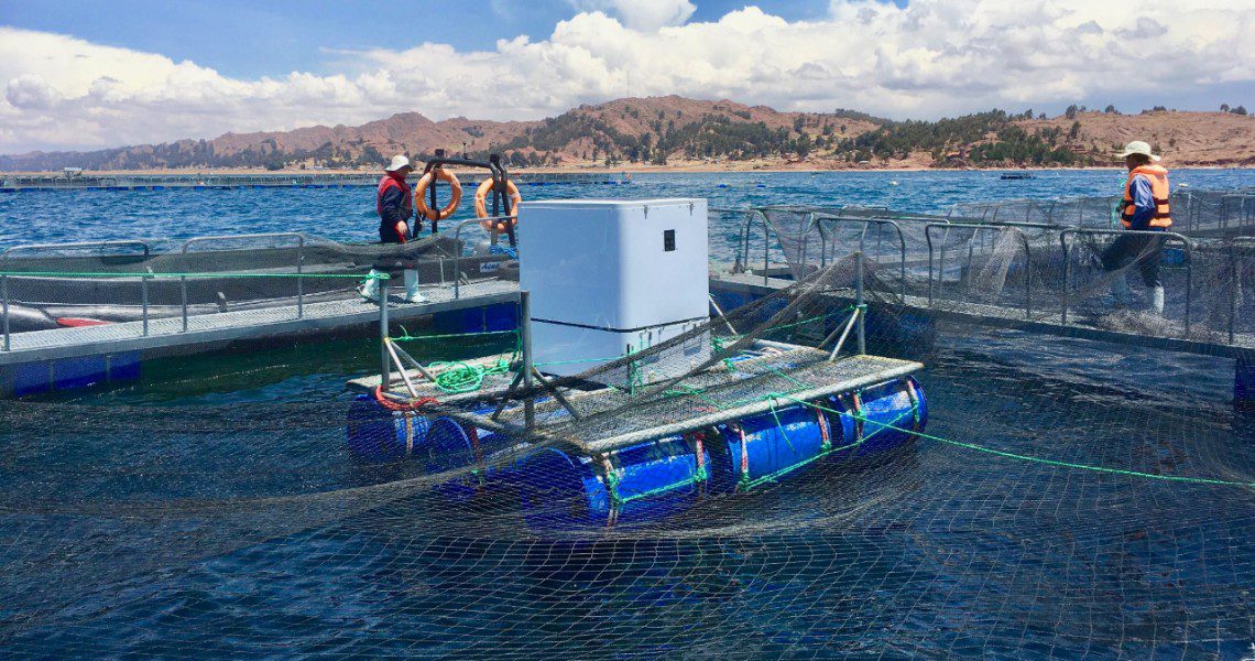 lake titicaca artificial intelligence feeders umnitron
