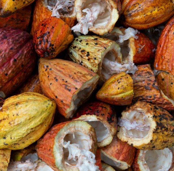 cacao health benefits peru