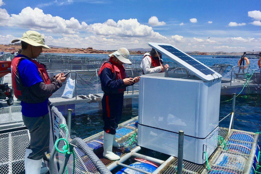 umnitron feeders lake titicaca (1)