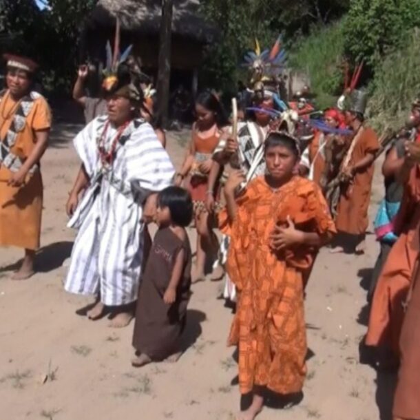 Ashaninka Tamaya-Saweto andina