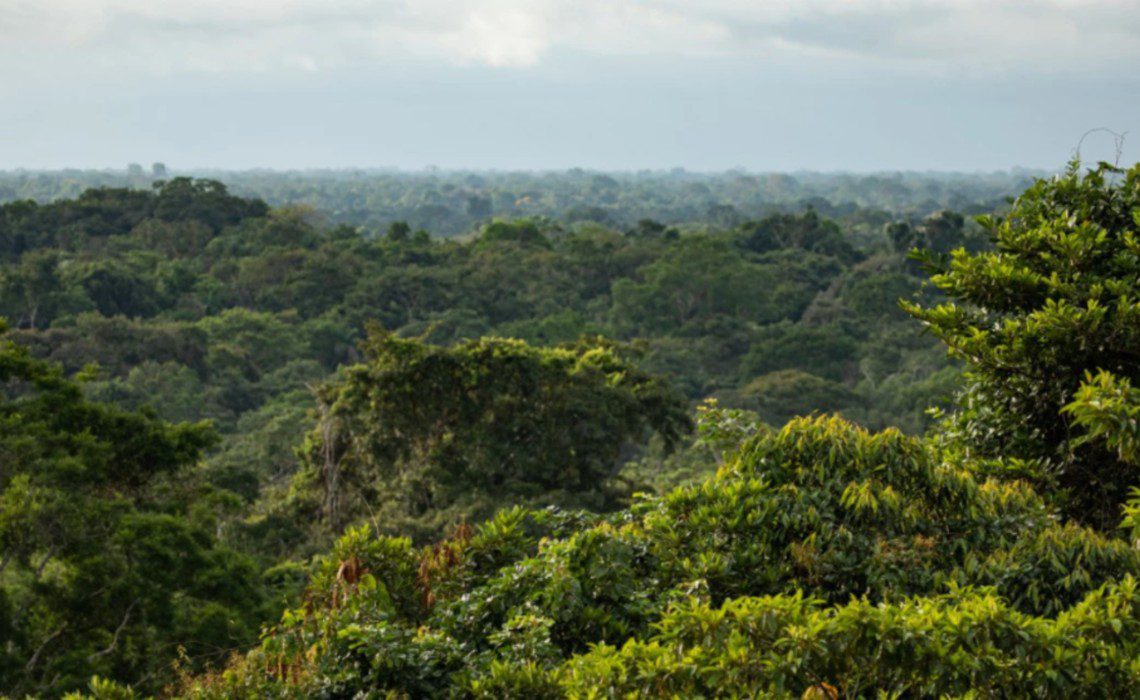 Maps Allow Indigenous Communities to Safeguard the Amazon in Peru Maps Allow Indigenous Communities to Safeguard the Amazon in Peru