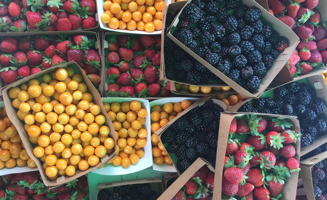berries-Barranco bioferia-berries
