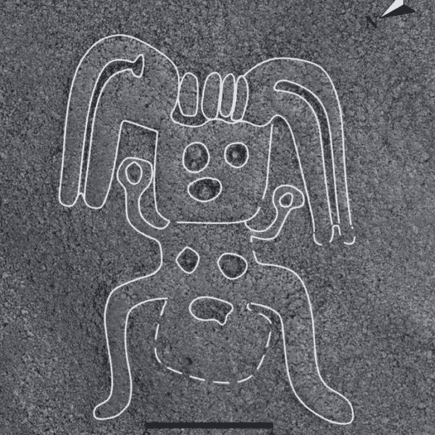 new-nazca-lines