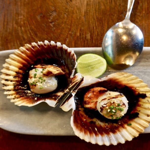 scallops matria -Alan Riles