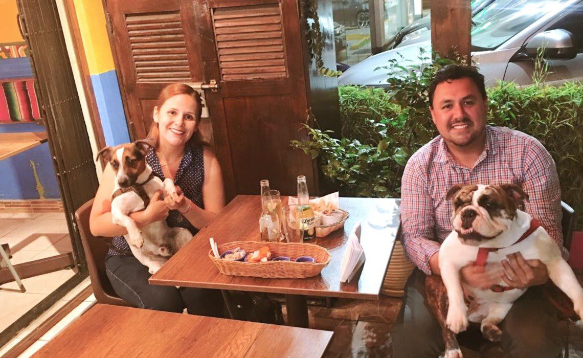 dog friendly places near me