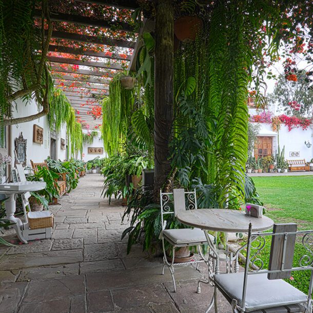 museo-larco-cafe