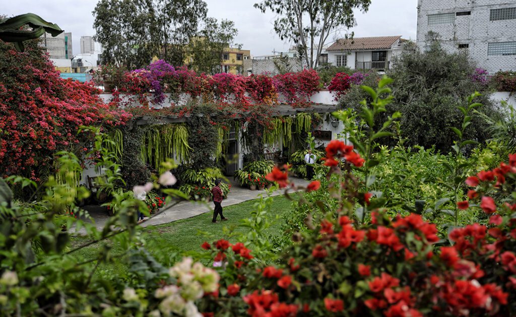 Museo larco gardens