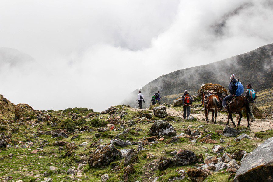 SALKANTAY-trek-horse
