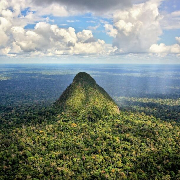 Sierra del Divisor amazon