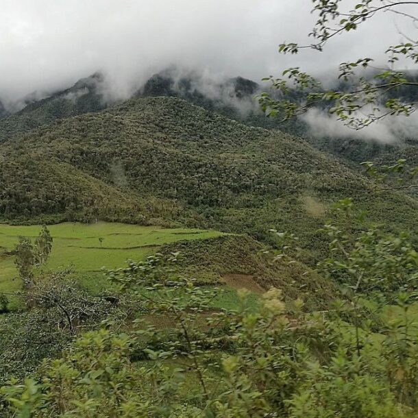 luya amazonas landscape