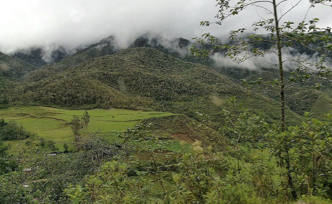 luya amazonas landscape