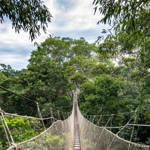iquitos why you should travel to peru