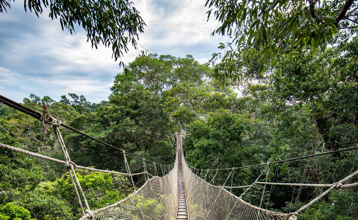 iquitos why you should travel to peru