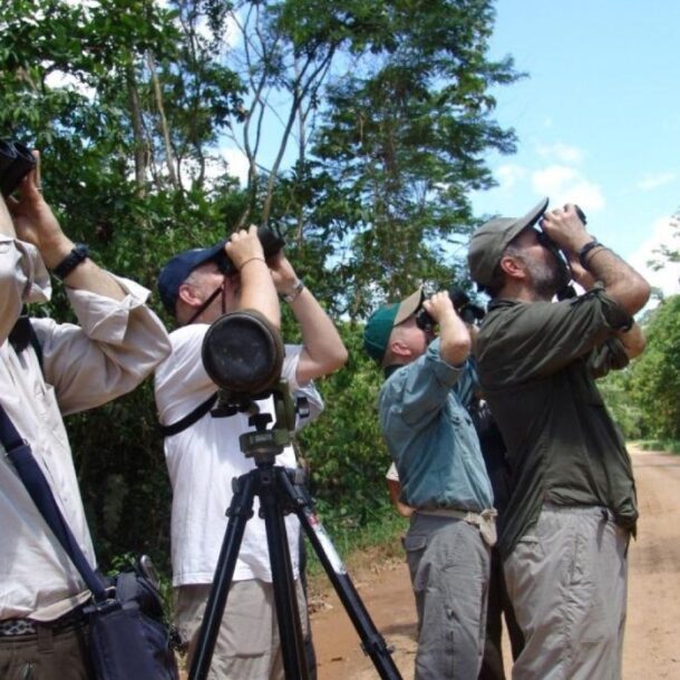bird watching peru