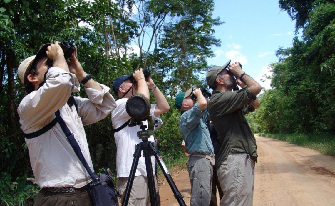 bird watching peru andina bird watching peru