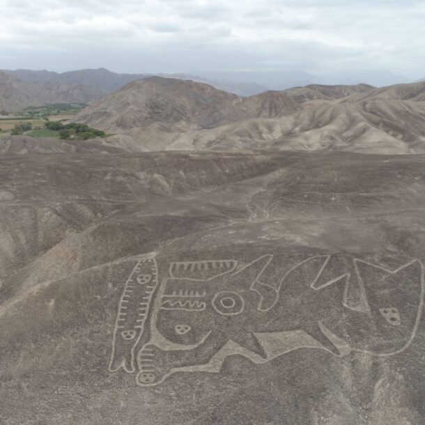 palpa geoglyphs orca