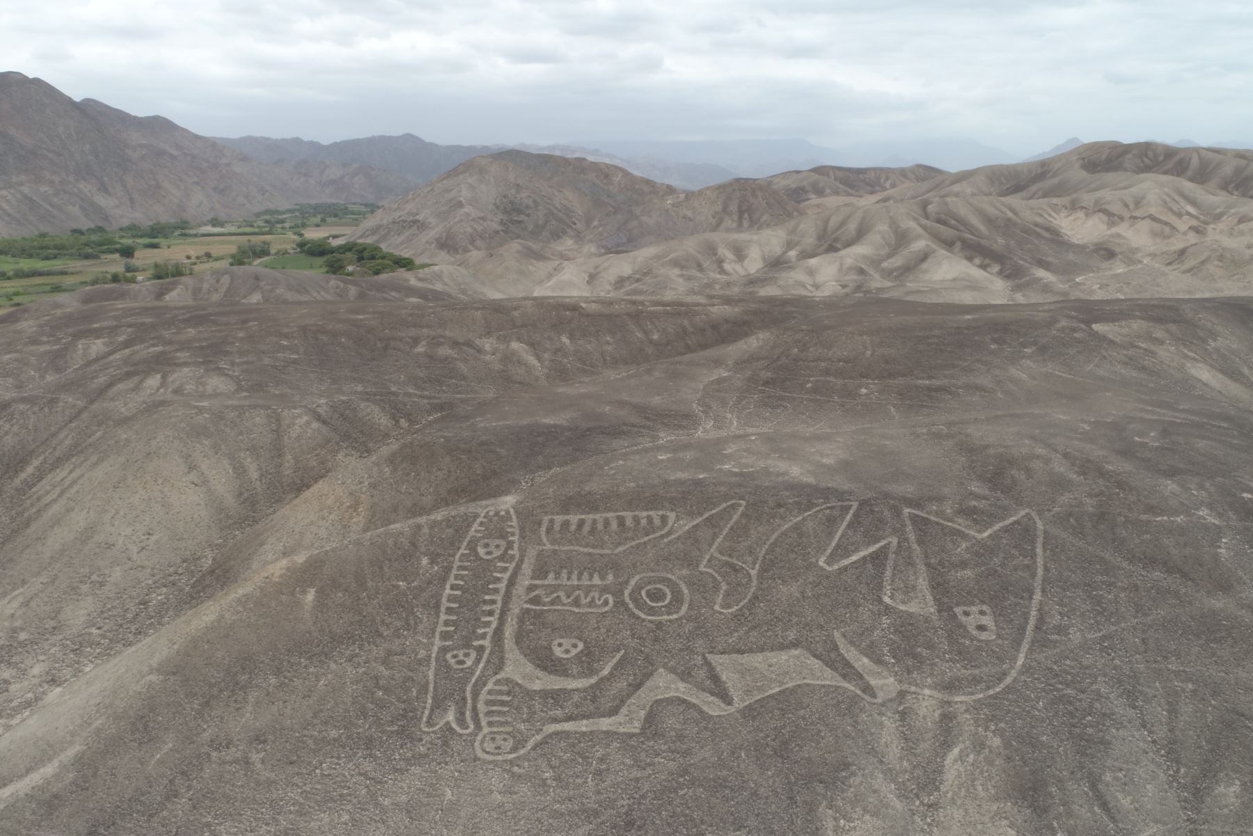 palpa geoglyphs orca