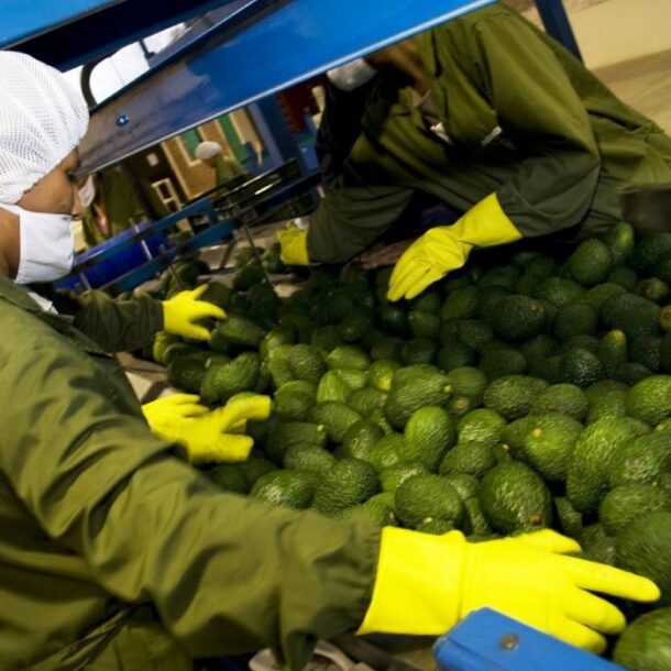 peru australia free trade agreement