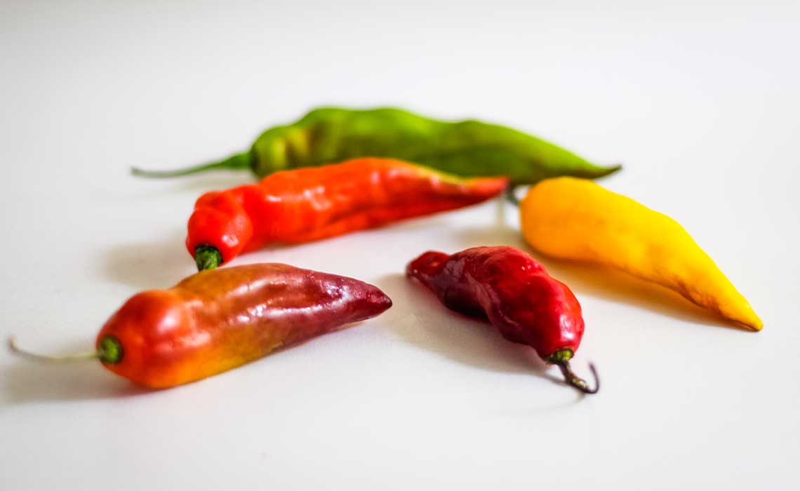 Peruvian-aji-peppers