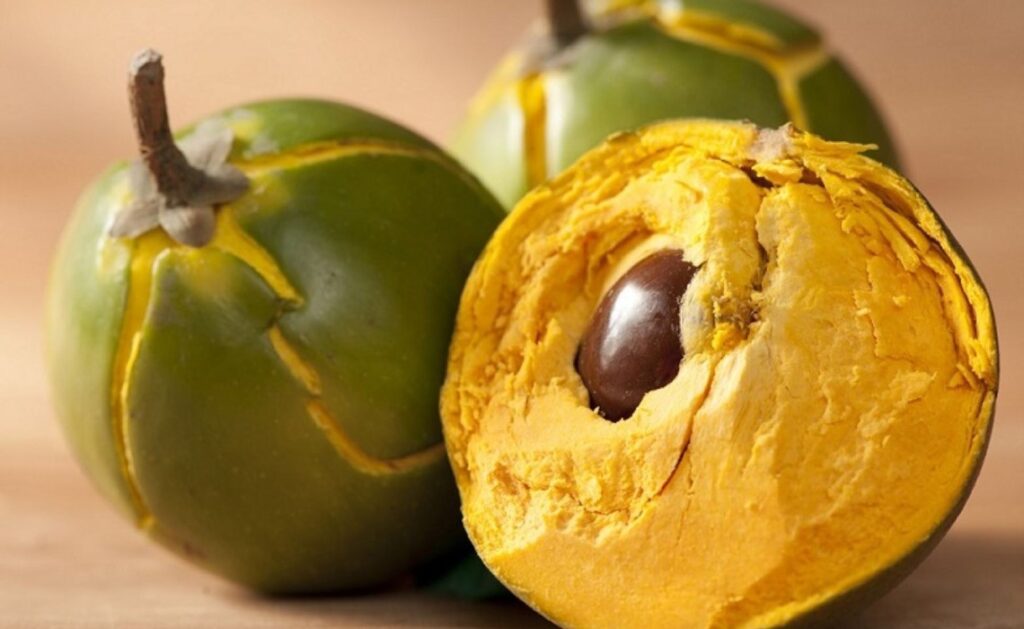 benefits of Lucuma Peruvian fruit