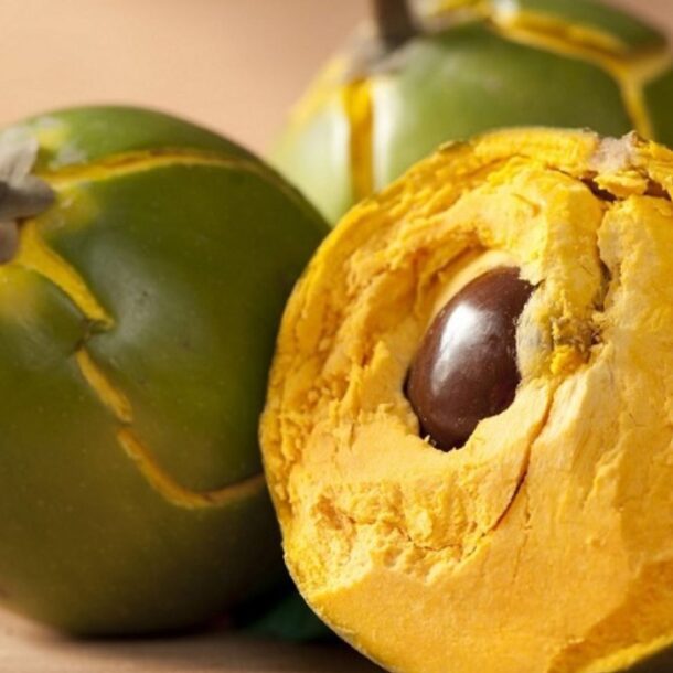 benefits of Lucuma Peruvian fruit