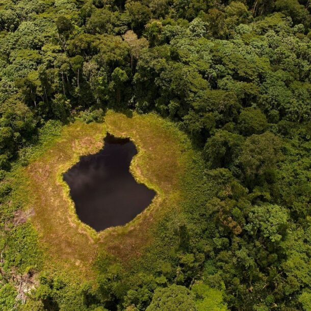 Sierra del Divisor protected area Peru